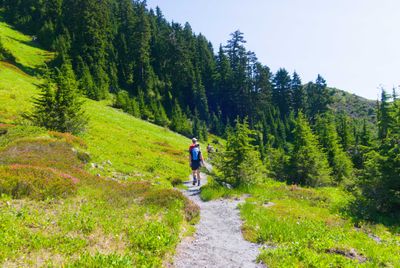 A surprising amount of greenery at the lower altitudes