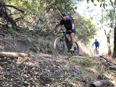 Ripping through the forest