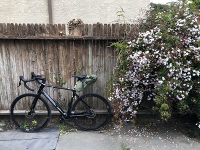 My bike for the weekend