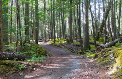 Riding the dreamy Sea-to-Sky trail to Lost Lake