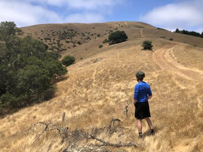 Jeremy takes in the views