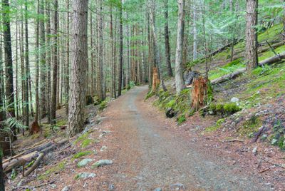 Riding the dreamy Sea-to-Sky trail to Lost Lake