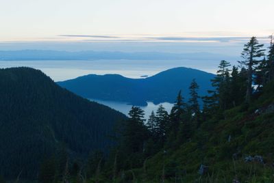 Views from the top of Cypress