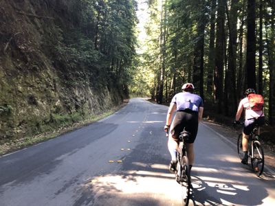 Enjoying a descent through the trees