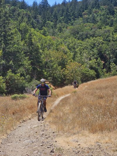 Riding through the grasses