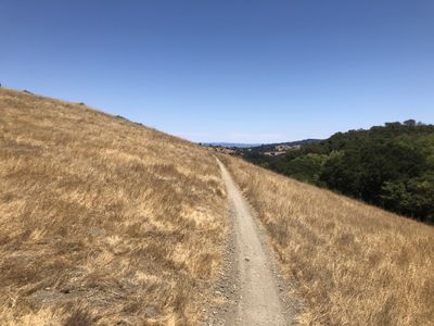 Singletrack with views of the Bay