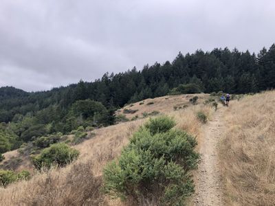 Emerging in the grasslands for more dreamy singletrack