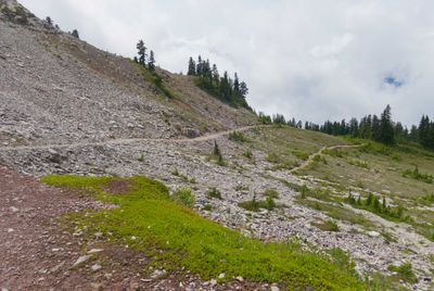 Heading up